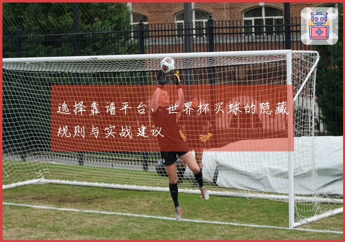 选择靠谱平台,世界杯买球的隐藏规则与实战建议