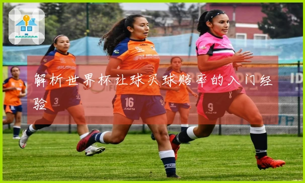 解析世界杯让球买球赔率的入门经验
