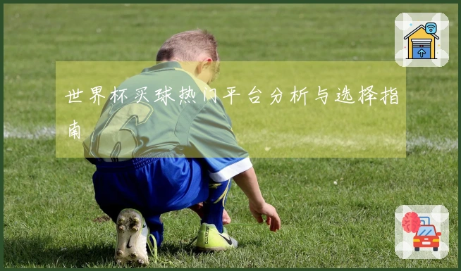 世界杯买球热门平台分析与选择指南