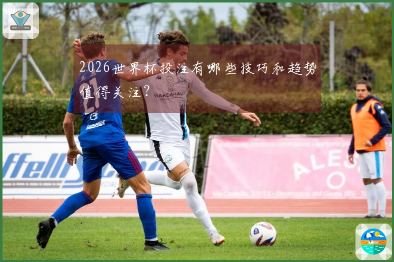 2026世界杯投注有哪些技巧和趋势值得关注？